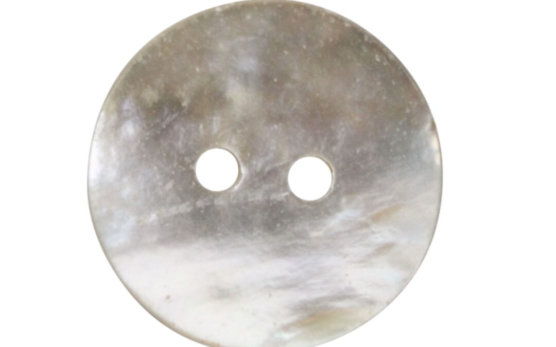 Real shell buttons collection