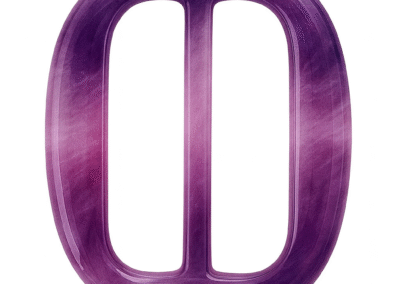 Polyester Buckles – Purple