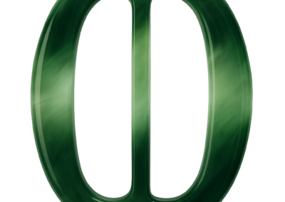 Polyester Buckles – Green
